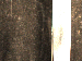 SurveyImage_30_04.png