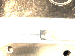 SurveyImage_01_01.png