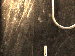 SurveyImage_01_03.png