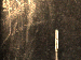 SurveyImage_01_04.png