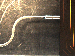SurveyImage_02_02.png