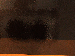 SurveyImage_05_03.png
