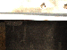SurveyImage_06_06.png