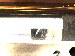 SurveyImage_09_01.png