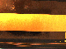 SurveyImage_09_02.png