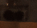 SurveyImage_10_03.png