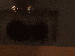 SurveyImage_12_03.png