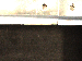 SurveyImage_12_06.png