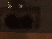 SurveyImage_13_03.png