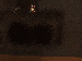 SurveyImage_17_03.png