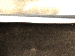 SurveyImage_17_06.png