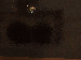SurveyImage_19_03.png