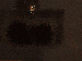SurveyImage_21_03.png