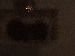 SurveyImage_23_03.png