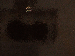 SurveyImage_24_03.png