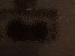 SurveyImage_26_03.png