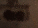 SurveyImage_27_03.png