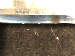 SurveyImage_29_06.png