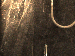 SurveyImage_01_03.png