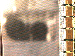 SurveyImage_05_03.png