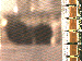 SurveyImage_07_03.png