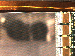 SurveyImage_07_04.png