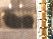 SurveyImage_11_03.png