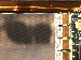 SurveyImage_11_04.png
