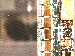 SurveyImage_23_03.png