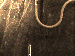 SurveyImage_01_03.png