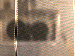 SurveyImage_28_03.png