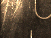 SurveyImage_01_03.png