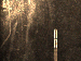 SurveyImage_01_04.png