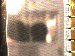 SurveyImage_01_03.png