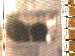 SurveyImage_03_03.png