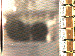 SurveyImage_05_03.png