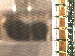 SurveyImage_11_03.png