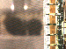 SurveyImage_13_03.png