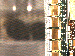 SurveyImage_17_03.png