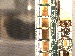 SurveyImage_25_03.png