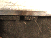 SurveyImage_29_06.png