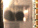 SurveyImage_01_03.png