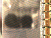 SurveyImage_05_03.png