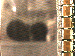 SurveyImage_07_03.png