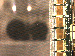 SurveyImage_13_03.png