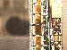 SurveyImage_27_03.png