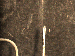 SurveyImage_29_04.png