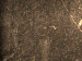 SurveyImage_29_05.png