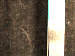 SurveyImage_30_03.png