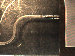 SurveyImage_02_02.png